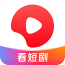 初中生活感受100字